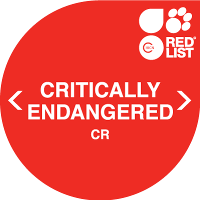 Critically Endangered symbol