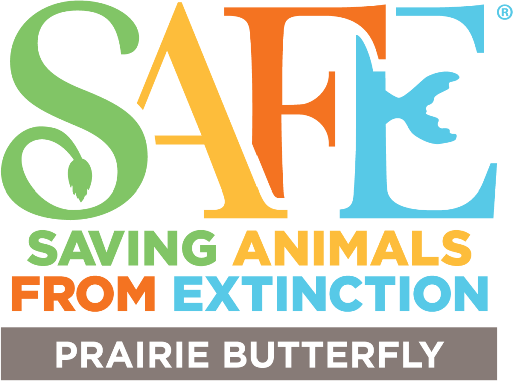 SAFE Prairie Butterfly logo